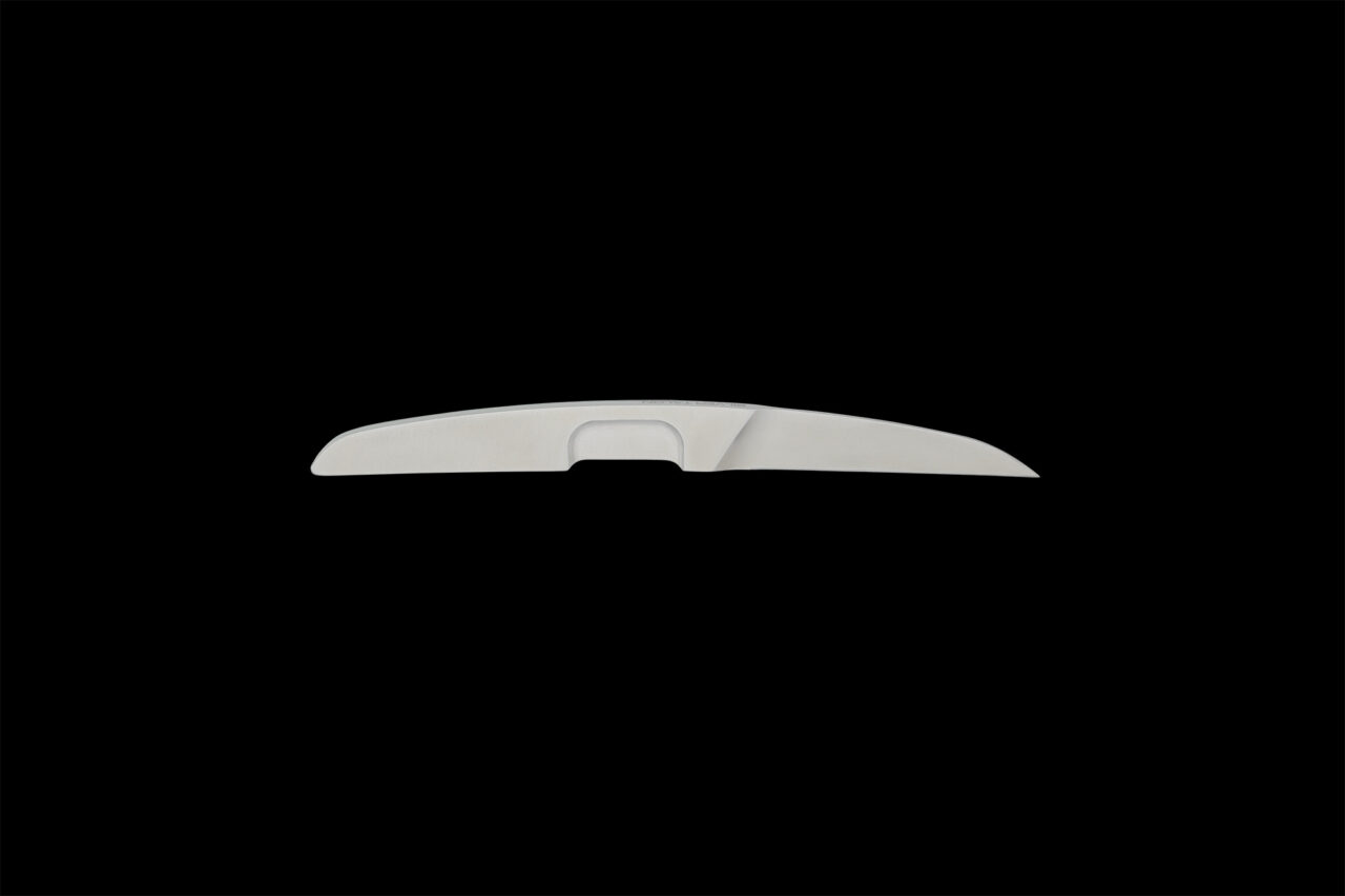 SILVER TALON