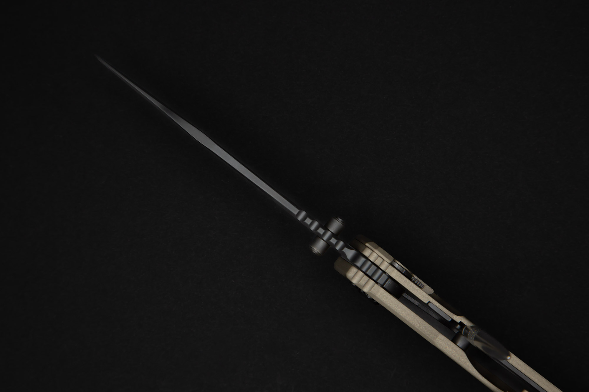 extrema-ratio-glauca-g9-8-copia-1.jpg
